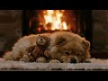 Bedtime Music for Dogs 🌙 | Gentle Relaxing Sounds for Restful Sleep