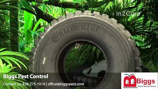 Biggs Pest Control Shelby v1