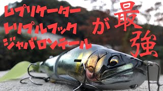 レプリケーター　もはや魚！？動きが良すぎる♪食わないはずがない♪ イマカツ　エバーグリーン