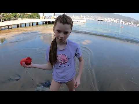 Acapulco Mexico Epic beach pool land play fun| Adventures With Haven