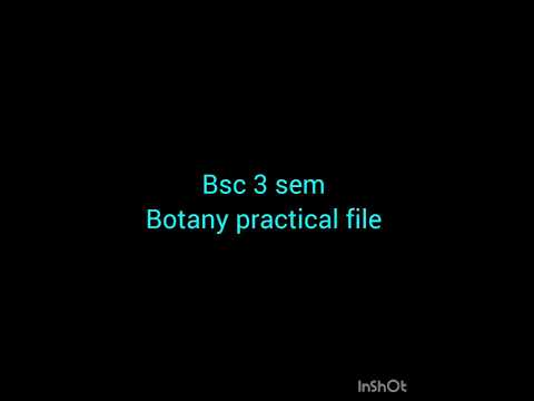 Botany practical file