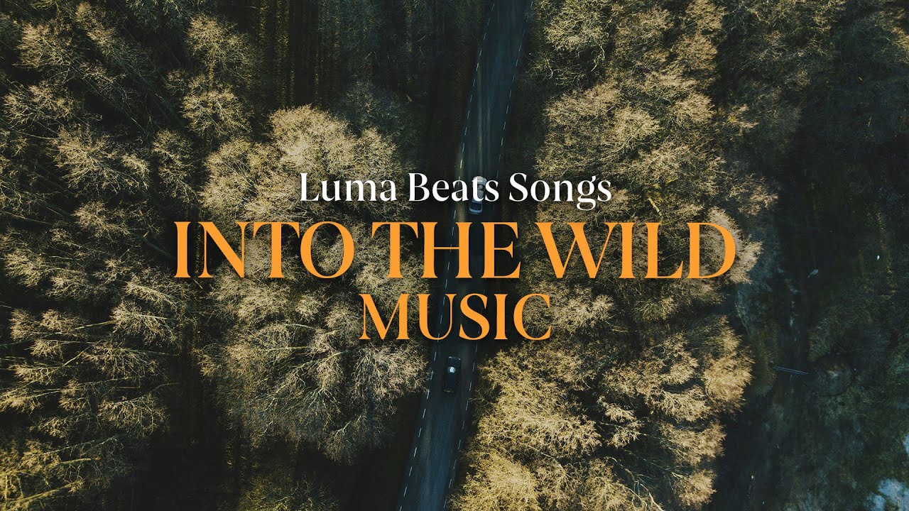 New Indie Folk | Acoustic Playlist for Peaceful Moments