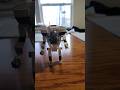 Lego subnautica prawn suit. #lego #subnautica #moc #creative #shorts