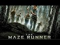 The Maze Runner 2014 Full Movie Explained Plot Breakdown Hidden Details Facts Review The Maze Runner 2014 Full Movie Explained Plot Breakdown Hidden Details Facts Review
