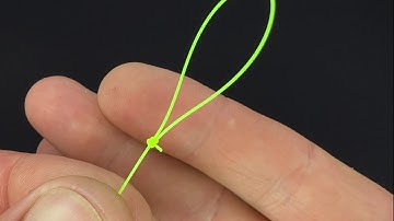 How to Tie a Perfection Loop Knot Fishing Knot