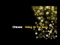 Miniature de la vidéo de la chanson Hiding All The Stars (Album Mix)