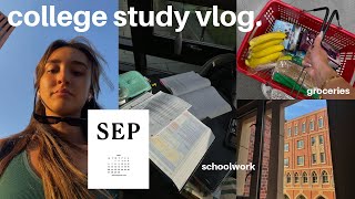 PRODUCTIVE STUDY VLOG: homework, grocery haul, building a routine
