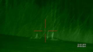 ATN X Sight 5x18 Day/Night scope, night vision. Adjusting color and reticle