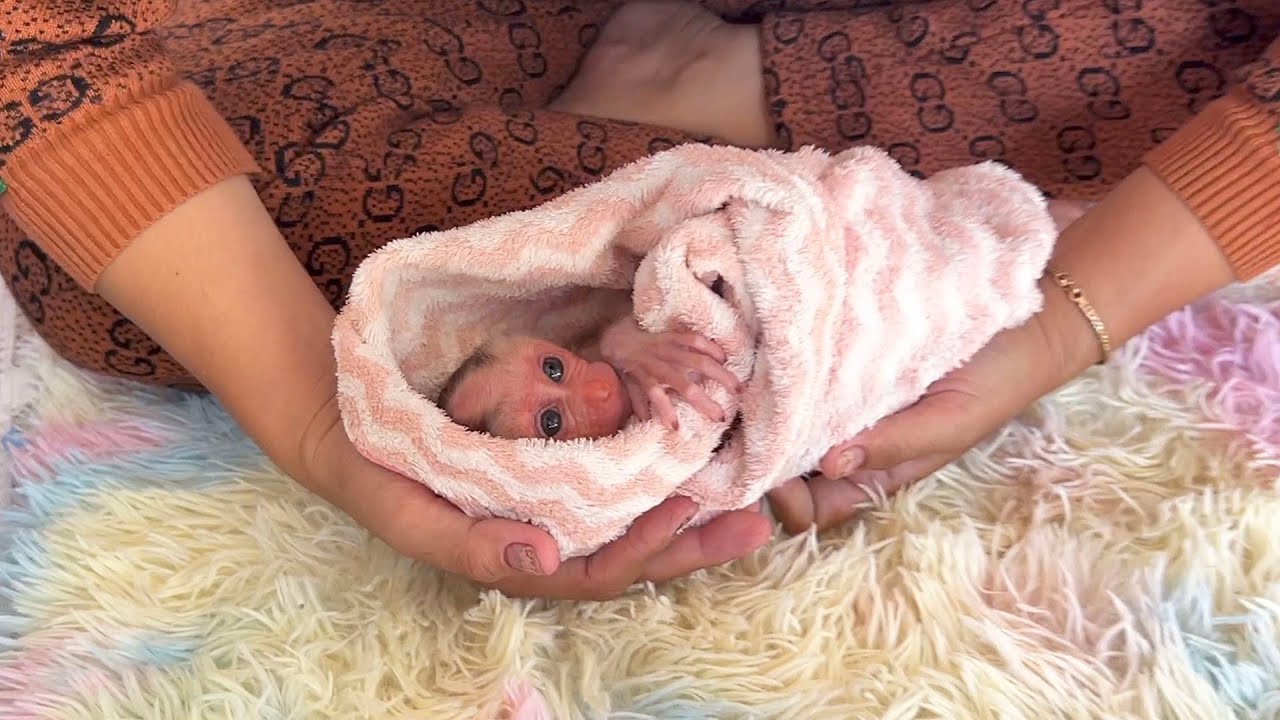 Mom Xtrmely CarefuI & Thorouqhly Warm Bathing Lil Newbrn