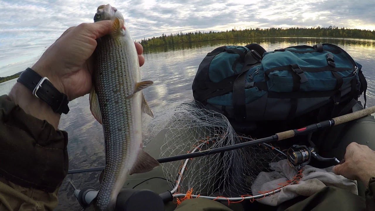 Великолепная рыбалка на Кольском полуострове 20ч. - YouTube