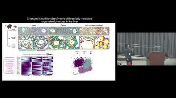 Bridging the Tissue and Organelle Scales with Spatial Organellomics