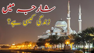 Sharjah Main Zindagi Kesi Hai? Dubai Sharjah Nabeel Asim