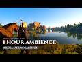 Witcher 3 ASMR | Nilfgaardian Garrison Ambience (4K Timelapse) | 1 Hour for Sleep & Study