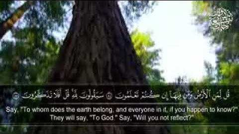 من اجمل الأصوات|| القارئ إدريس الهاشمي|| من سورة المؤمنون