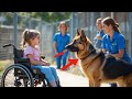 A Little Girl in a Wheelchair Visited the Shelter — One Broken Dog Changed Everything…
