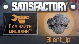 Satisfactory: Где найти мицелий?