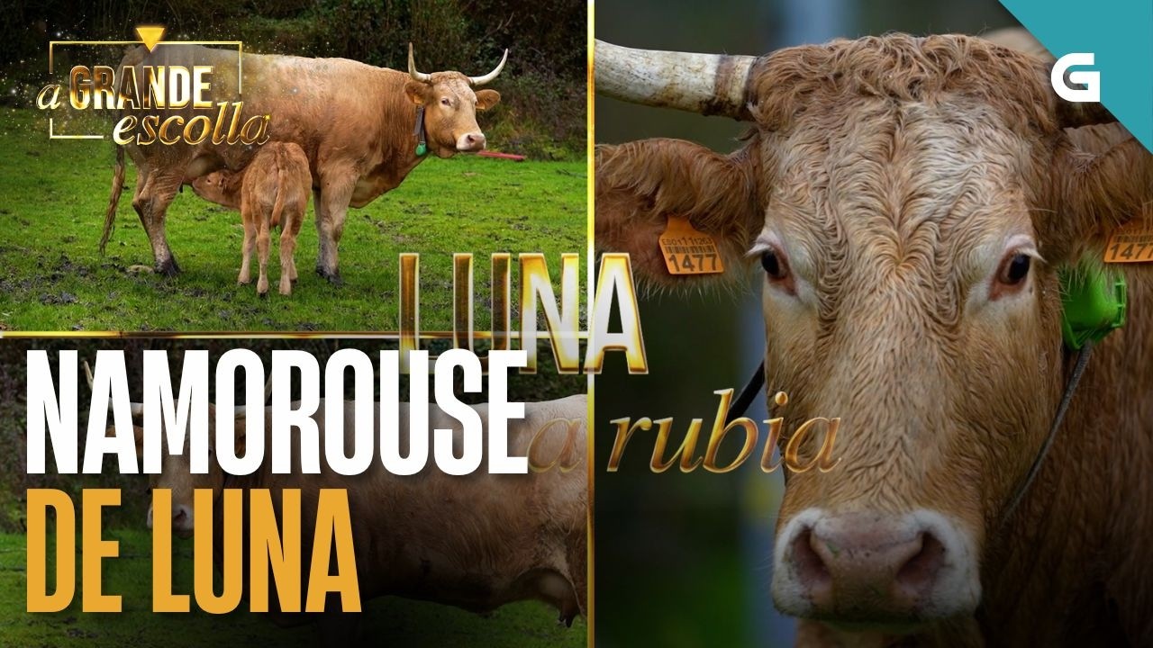 Tamara, gandeira de Rodeiro, ofrécelle unha rubia galega a María José Campanario | A Grande Escolla