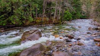 Summer At Franklin Falls Trail 8k  Pure Nature U0026 Relaxing Waterfall Sounds