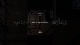 Deep Emotional Quran Recitation - Divine Light for Soul Healing #HolyQuran #Peaceful