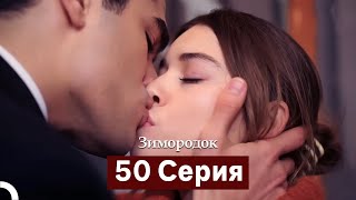 Зимородок 50 Cерия (Русский Дубляж)