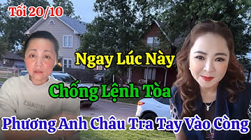 Tối 20/10 Nóng Phương Anh Châu Tự Tra Tay Vào Còng Khi Chống Lệnh Thách Thức Tòa Án