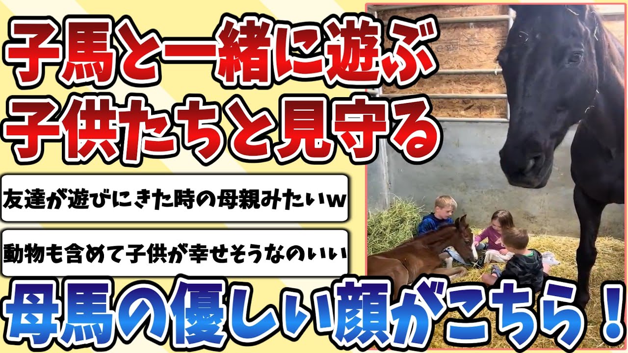 【2ch動物スレ】人間の子供たちと仲良しな子馬を優しい目で見守る『母馬』、異種間を越えた平和すぎるやり取りがあまりにも良すぎる！！！