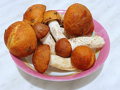 Как заморозить лесные грибы