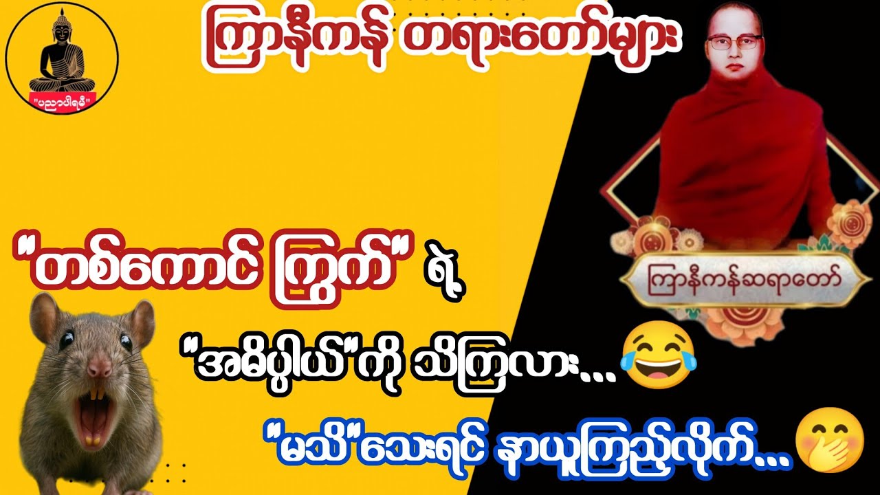 မချစ်တာနဲ့ ရန်ငြိုးဖွဲ့ – ကြာနီကန်ဆရာတော်ဦးဇဠိလ တရားတော်များ | နေမဝင်ခင် ရိက္ခာပြင် – မနောမယဆရာတော်