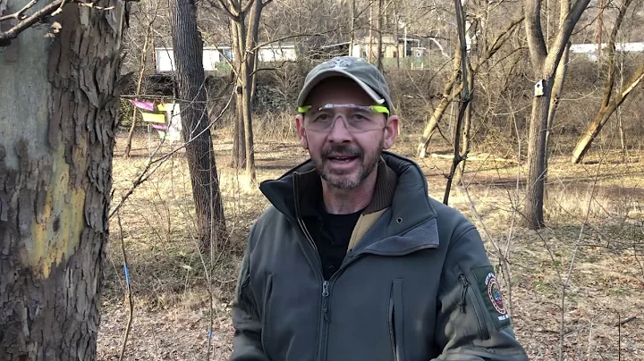 How to identify and destroy spotted lanternfly egg sacks - City of Easton PA