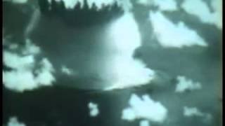 World Of Timmy - Timmys Goes To Shopping