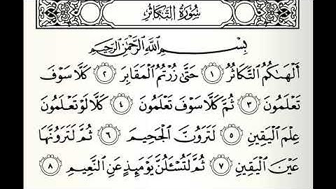 سورة التكاثر القارئ رامي الدعيس