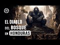  el sisimit diablo o protector en las selvas de honduras  10 alien evidences 