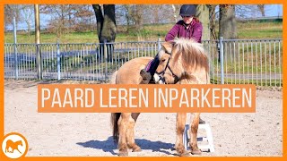 Tutorial: Leer jouw paard zichzelf in te parkeren