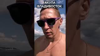 Про акулу во Владивостоке!