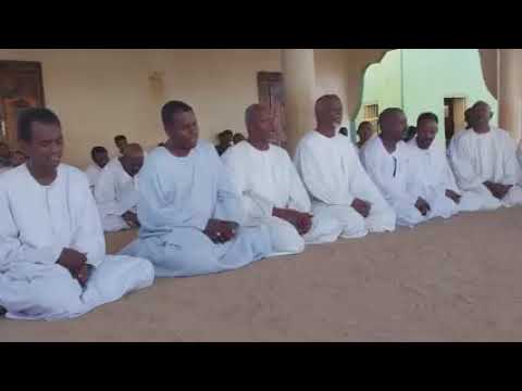 أولاد الشيخ الجميعابي بحر الصفا 