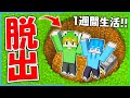落とし穴に閉じ込められた！急いで脱出しろ😱💦【まいくら・マインクラフト】