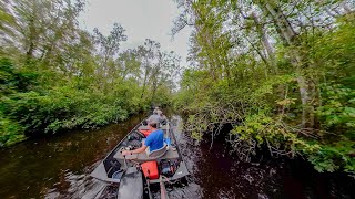 Exploring the Pocomoke River in Eastern Maryland