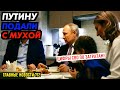 НАДЕЖДИНА НЕ ПЕЧАТАЮТ / ГУСИ ДОЛЕТЕЛИ ДО ВОЛГОГРАДА / НАД ПУТИНЫМ ОТКРЫТО РЖУТ