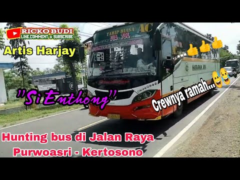 Pelita Indah Pariwisata: Menjelajah Indonesia dengan Kenyamanan dan Kemewahan