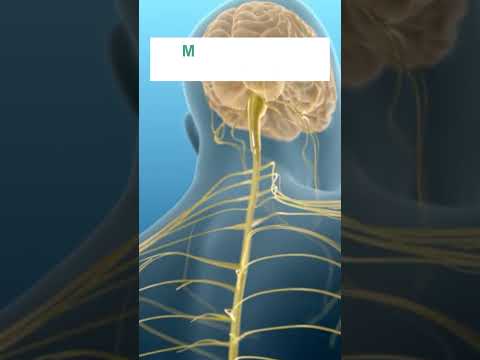 Video: Diagnose von Motoneuron-Krankheiten (mit Bildern)