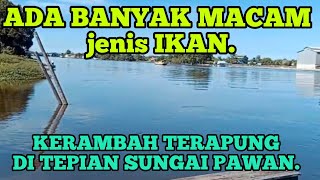 sejuta, keindahan di tepi sungai pawan.ketapang kalbar.
