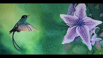 Hummingbird series - Number 1 - stop motion process video