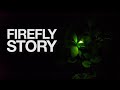 My Favorite Firefly Story
