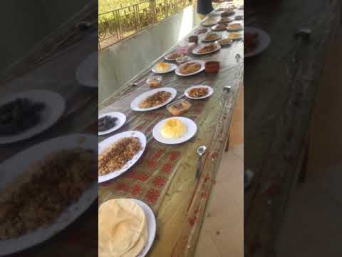 الشيف ممدوح حجازي جزيرة القباب دكرنس دقهليه