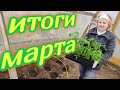 ЖИЗНЬ В ДЕРЕВНЕ//пришла весна!