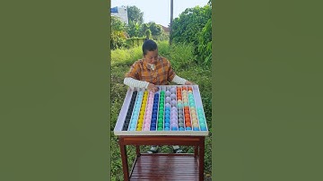 The Ultimate Ball Sort Level Test! 🚀 #MindPuzzle