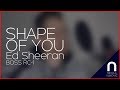 Shape of you (Nikola Vuković loop cover)