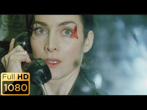 Кадр из фильма «Матрица»