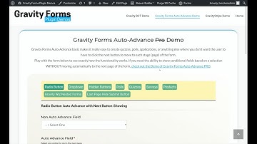 Gravity Forms Multi Page Auto Advance Plugin Features