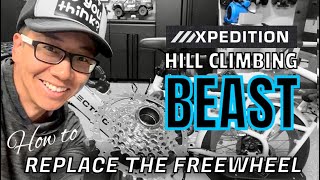 Lectric XPedition Hill Climbing Beast - How to Replace the Freewheel